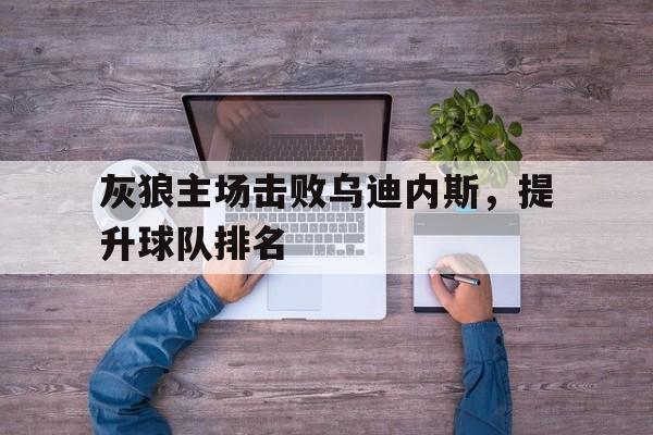 灰狼主场击败乌迪内斯，提升球队排名